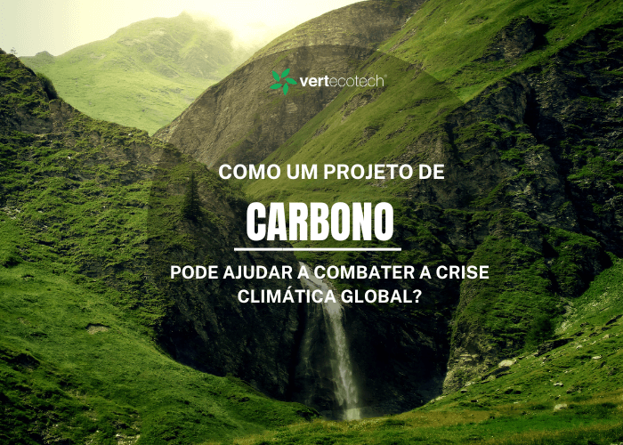 Como um Projeto de Carbono Pode Ajudar a Combater a Crise Climática Global?