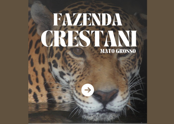 The Social Carbon methodology is the starting point for the Crestani Farm project.