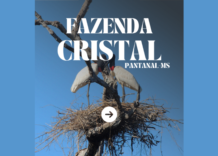 The Social Carbon methodology guides the carbon credit project at Fazenda Cristal