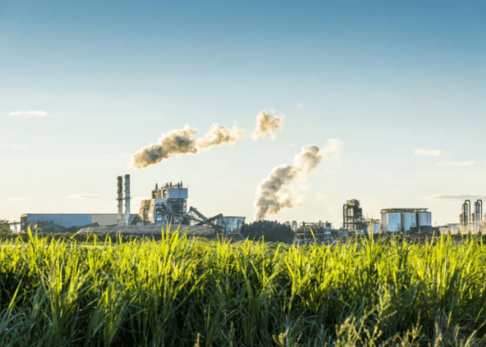 Fórum debate o papel de Mato Grosso do Sul na transição energética global